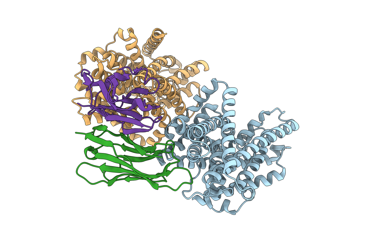 5M94 image