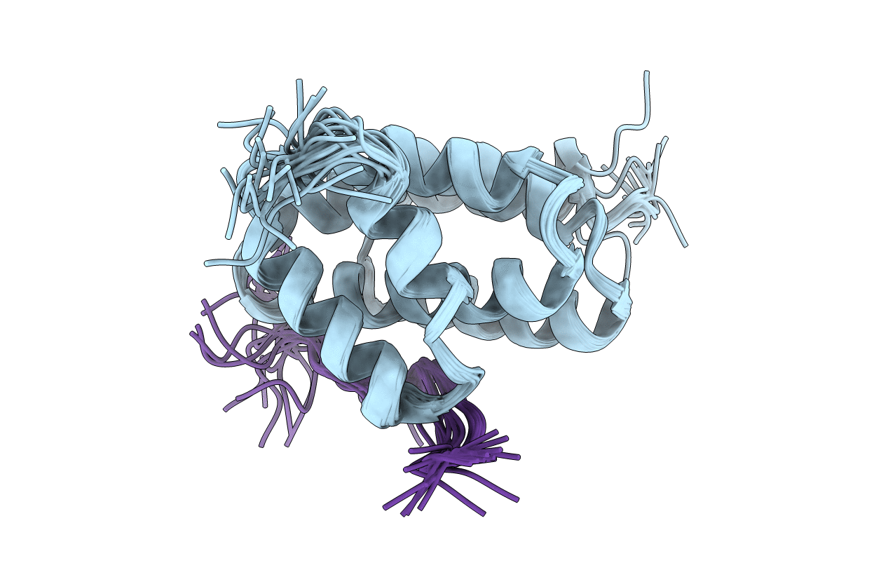 5M9D image