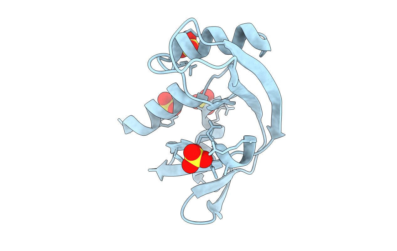 5M9P image