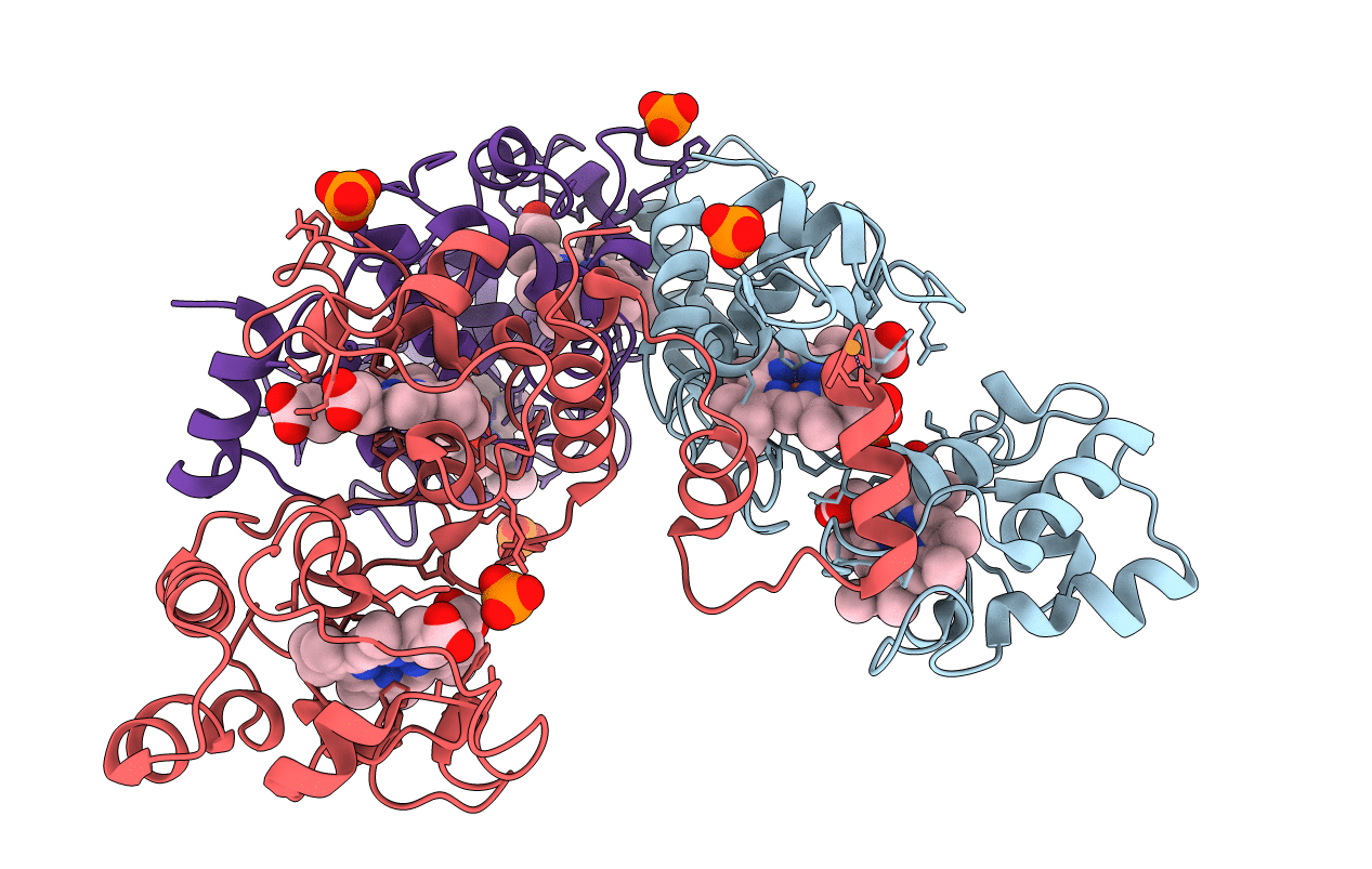 5MAB image