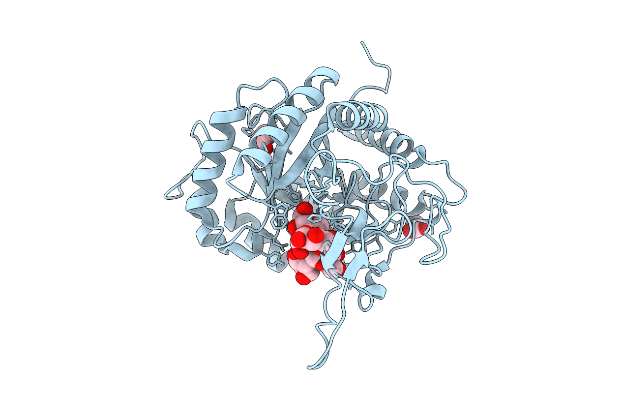 5MC8 image