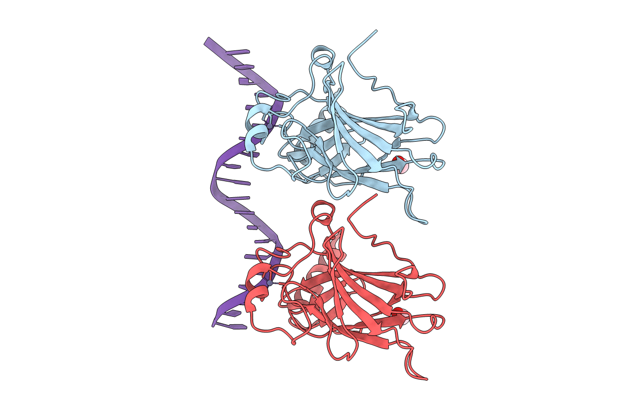 5MCW image