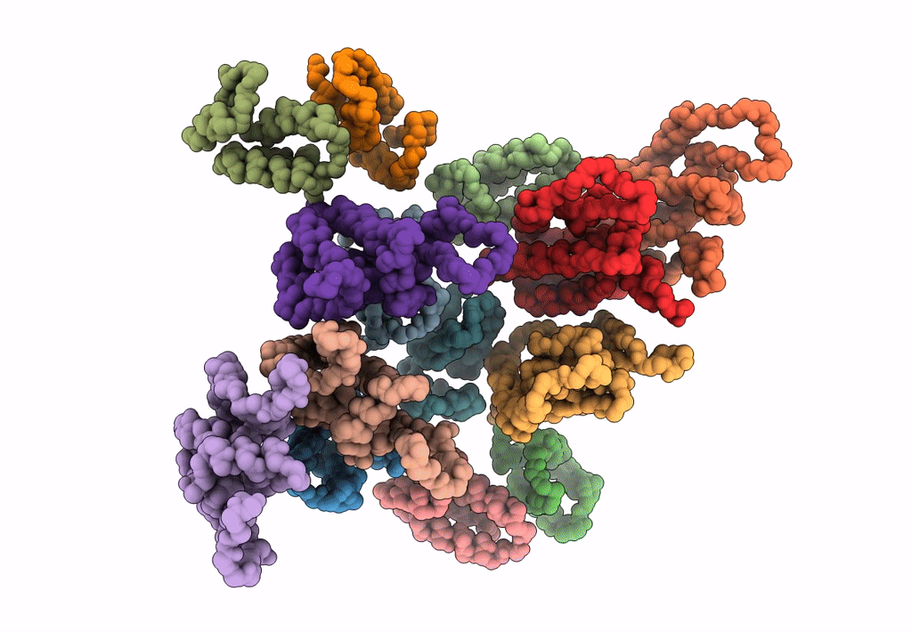 5MD2 image