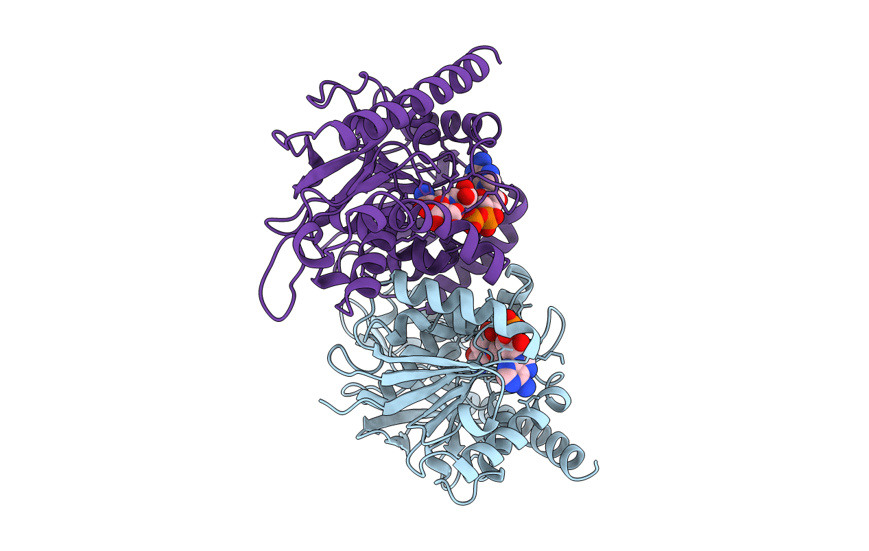 5MDH image