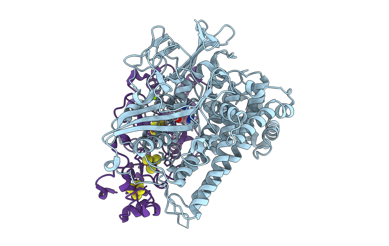 5MDJ image