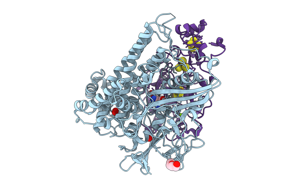5MDL image