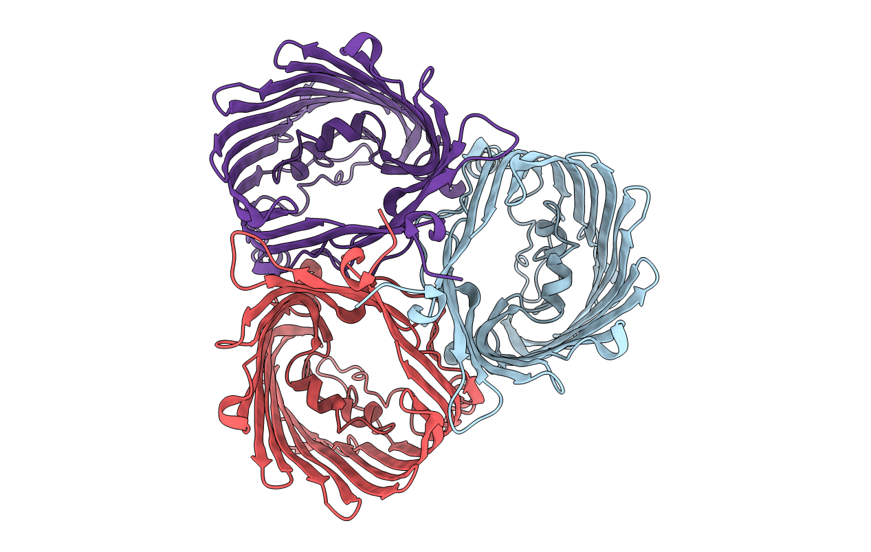 5MDP image