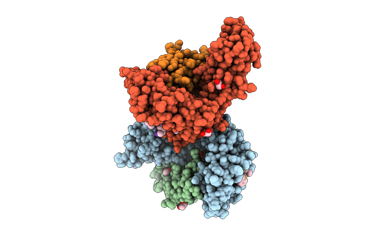 5MEP image