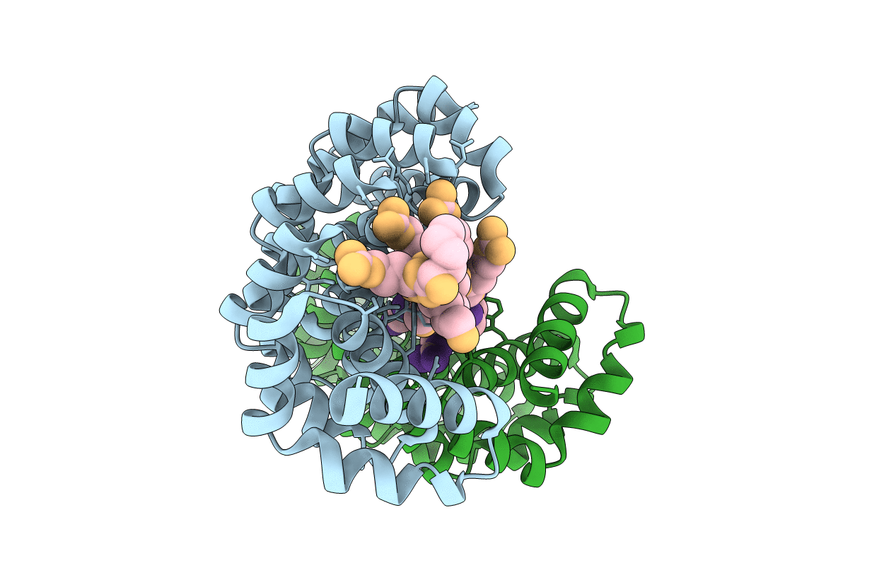 5MFI image