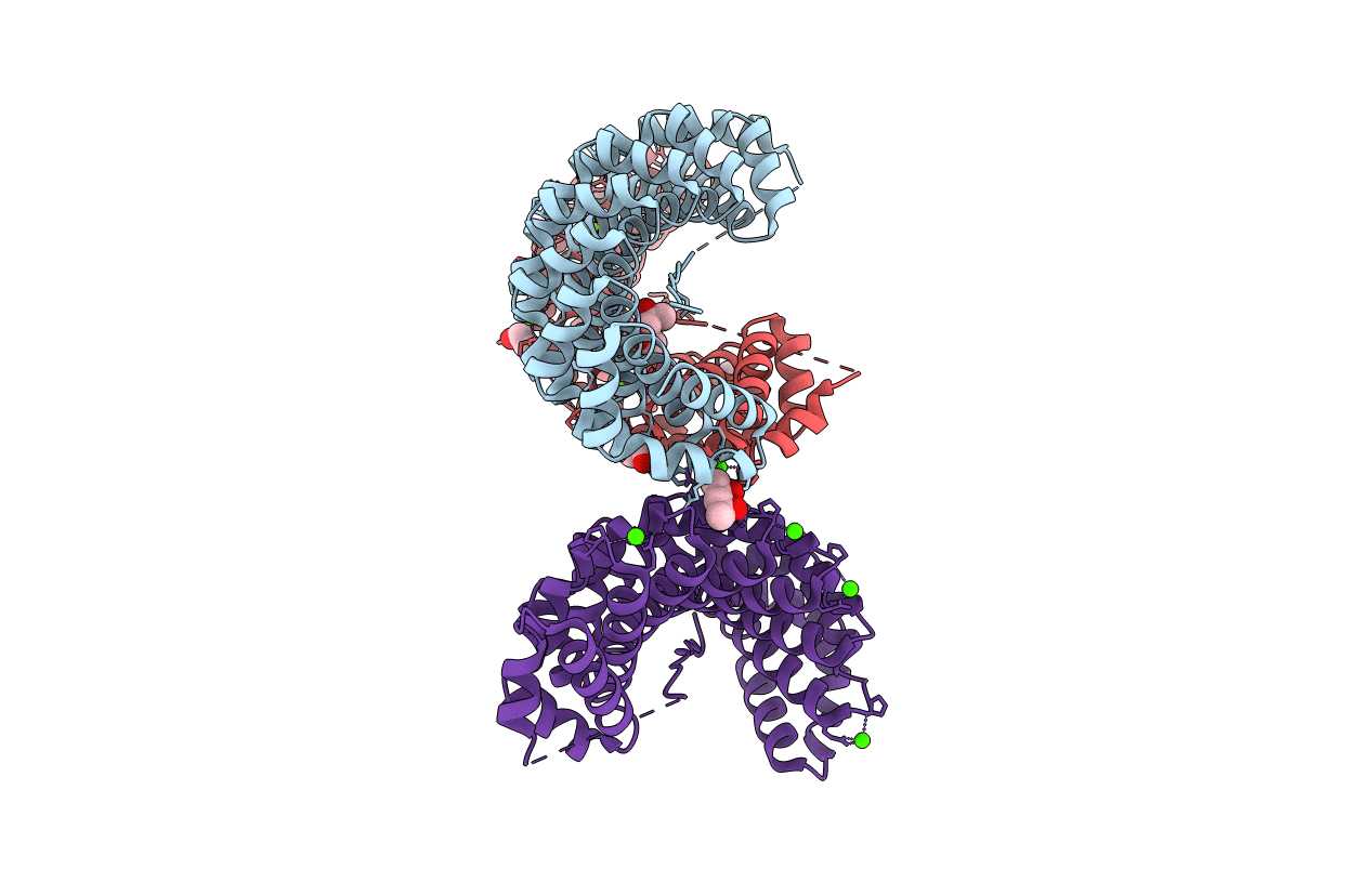 5MFL image