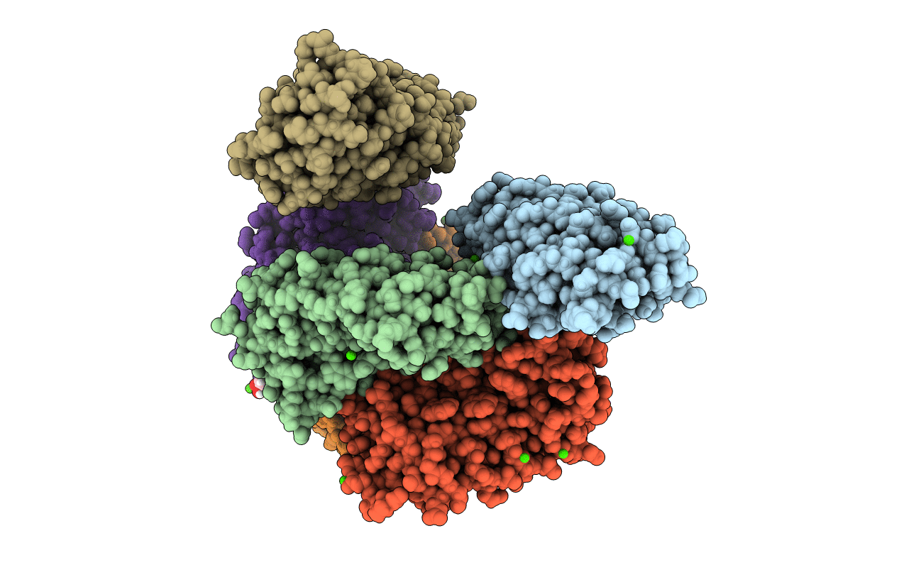 5MFO image
