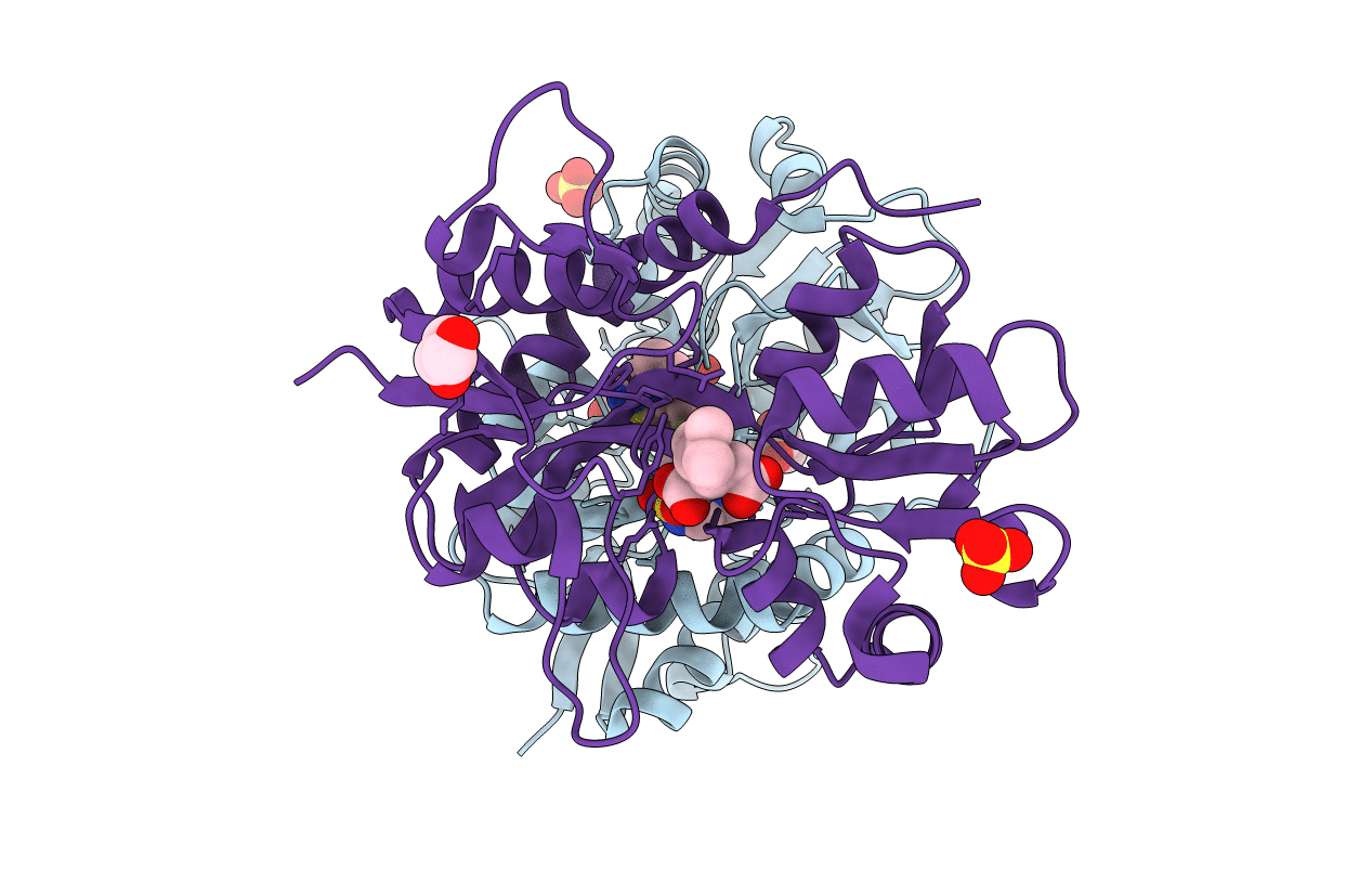 5MFQ image