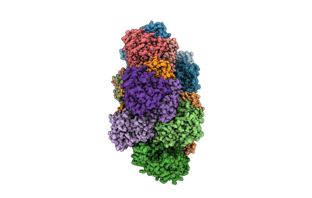 5MG5 image