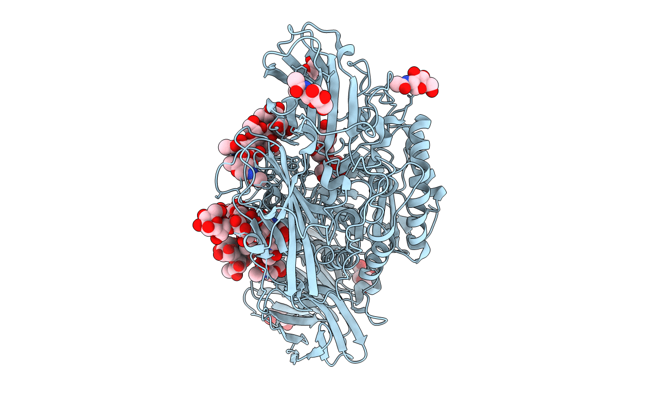 5MGC image