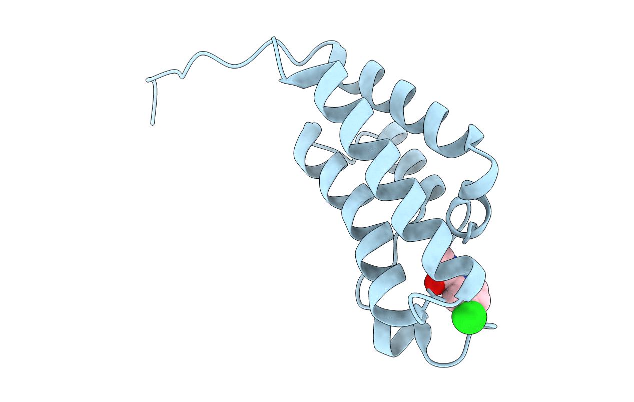 5MGG image