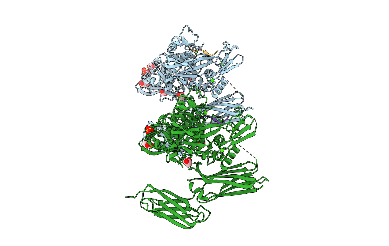 5MHL image
