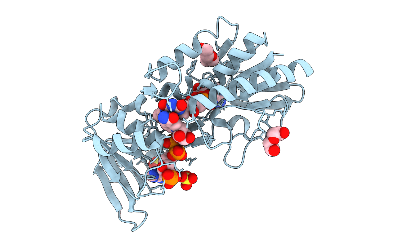 5MIP image