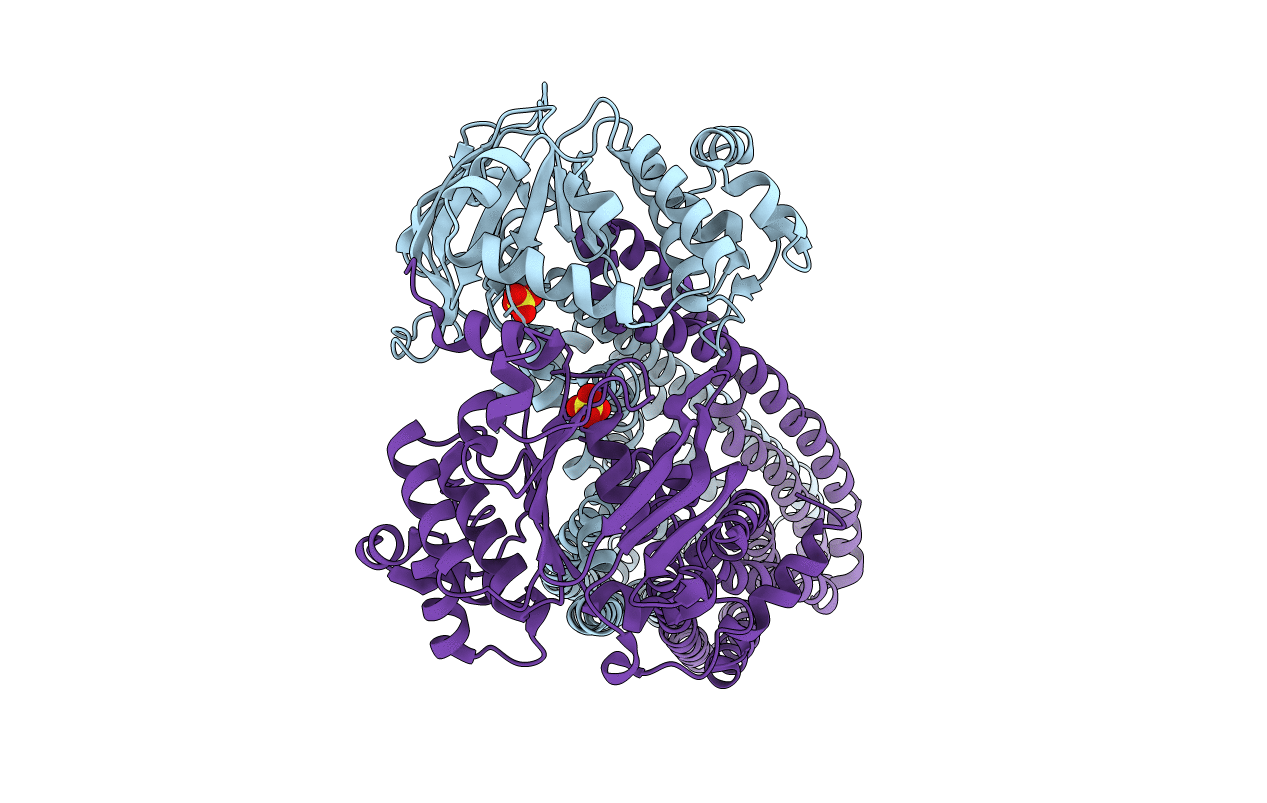 5MKK image