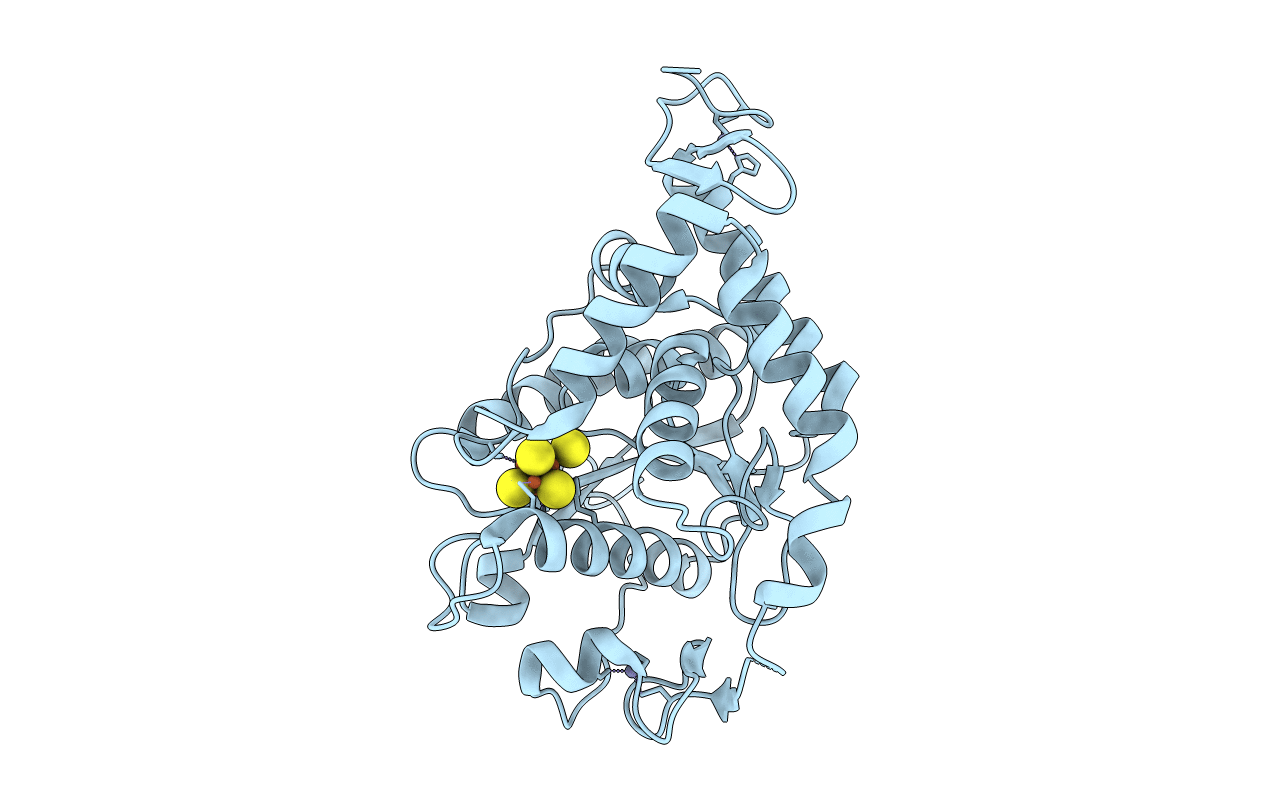 5MKP image
