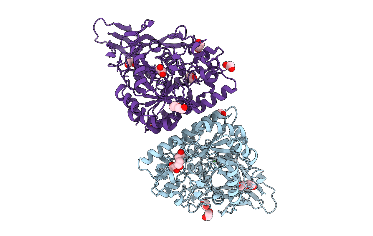 5MLE image
