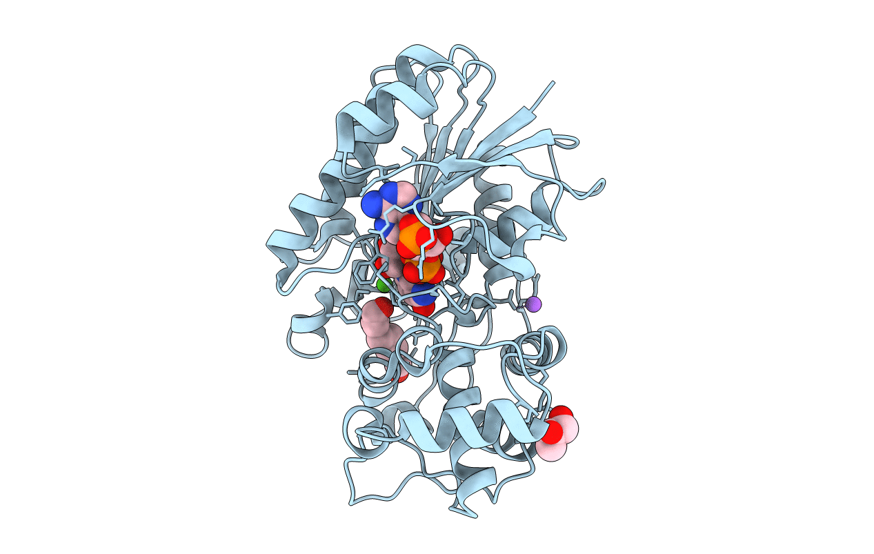 5MLH image