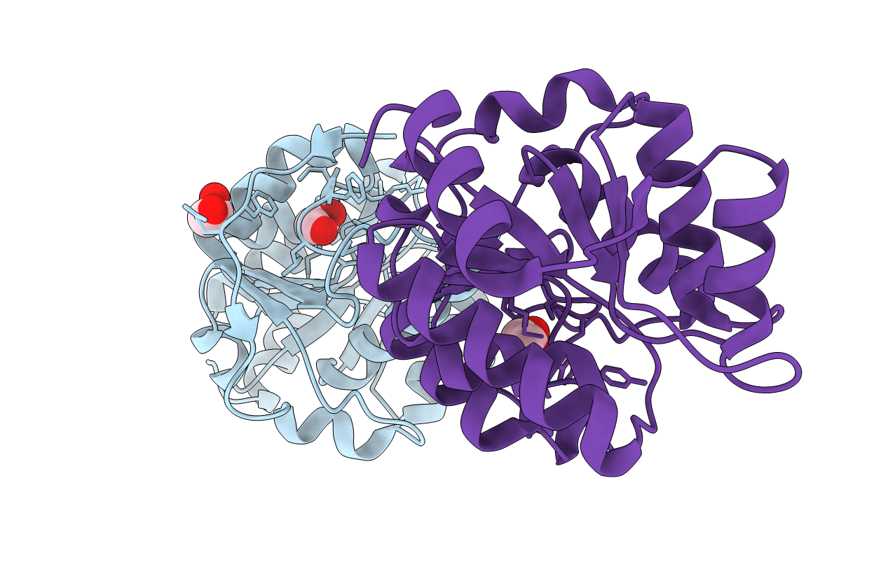 5MLL image