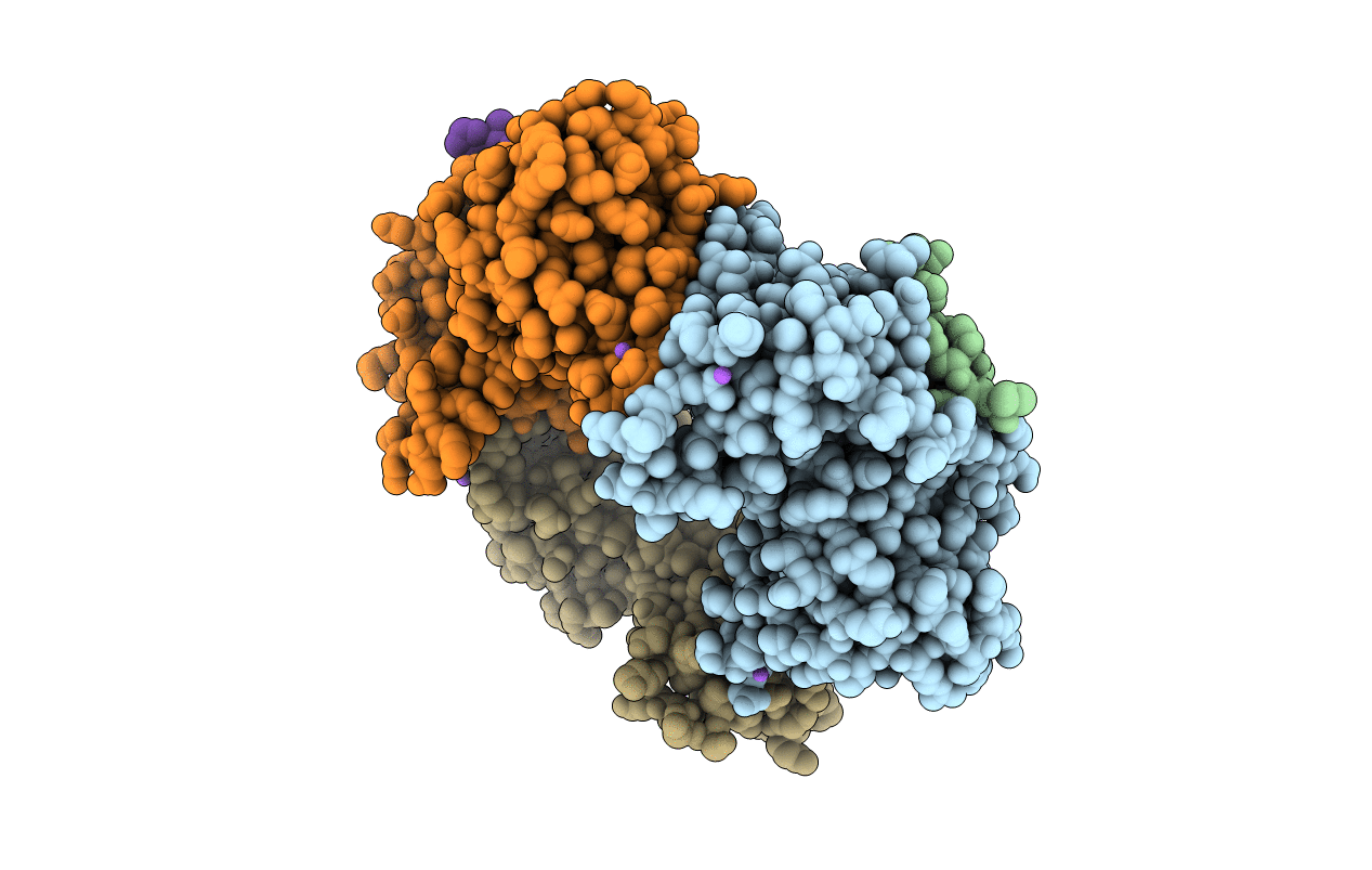 5MLO image