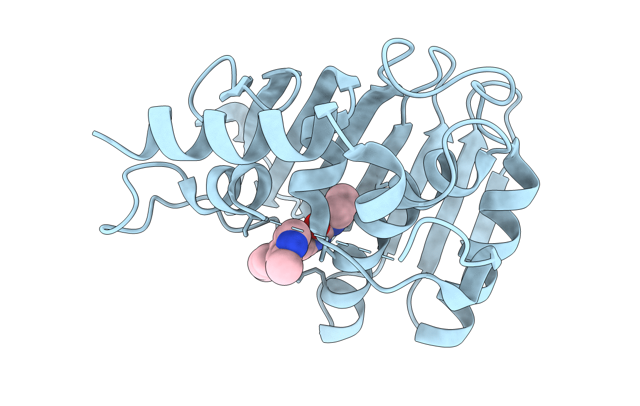5MMN image