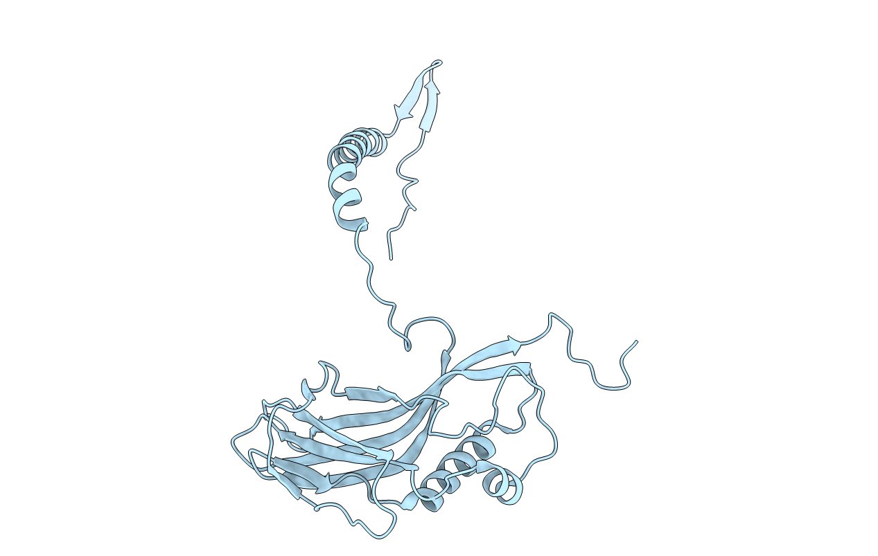 5MND image