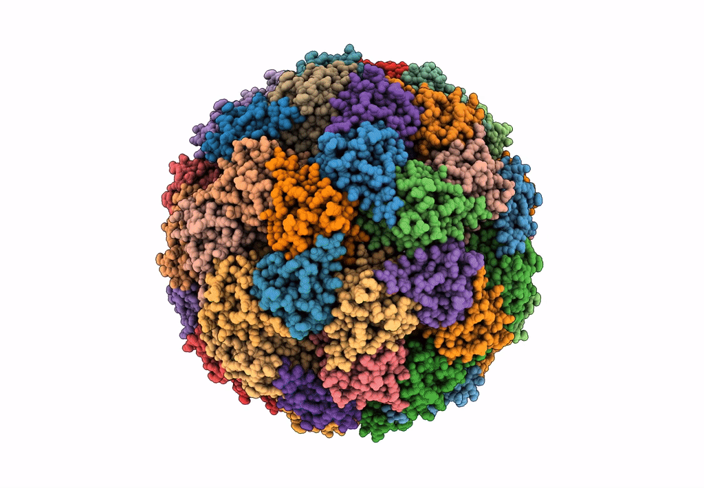 5MPP image