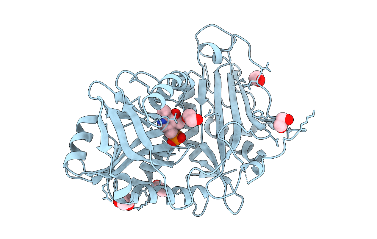 5MPR image