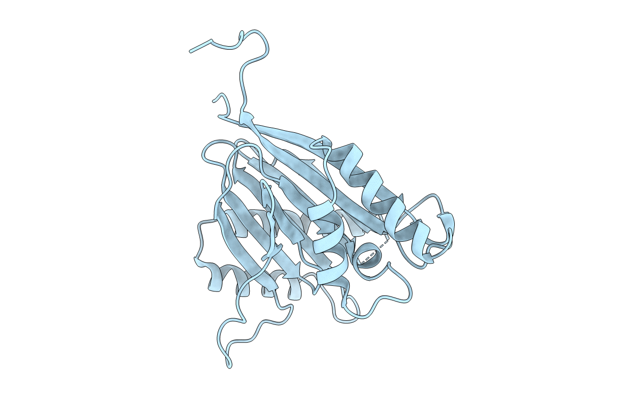 5MQH image