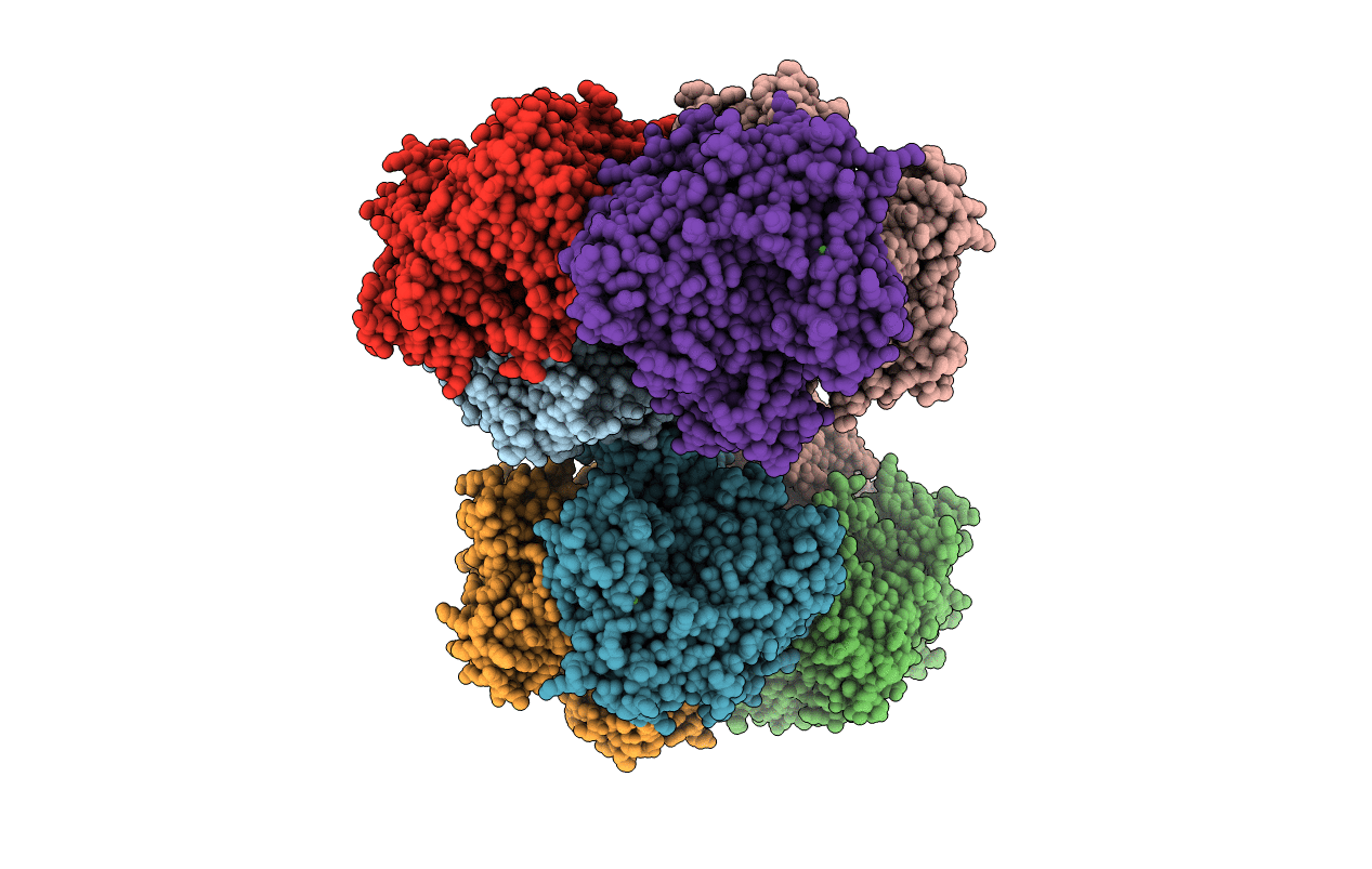 5MQP image