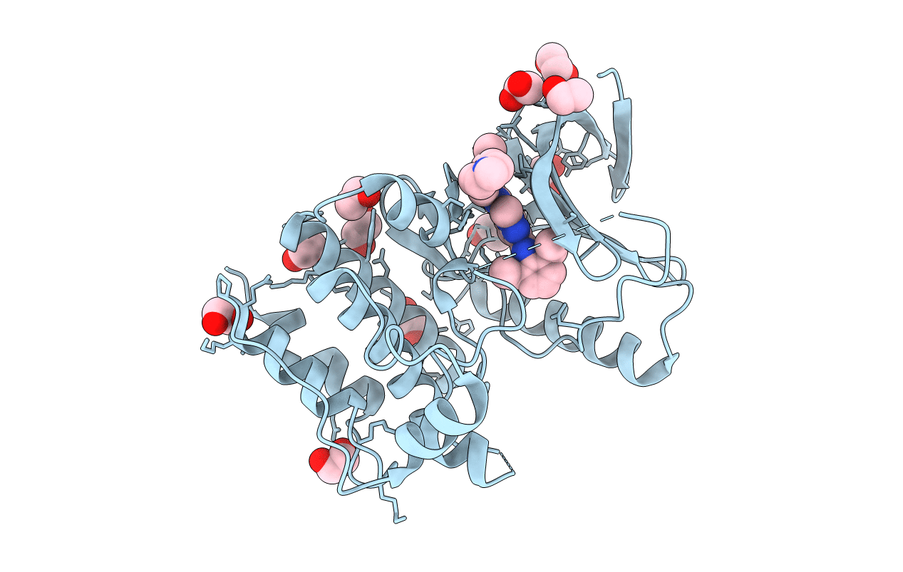 5MRB image