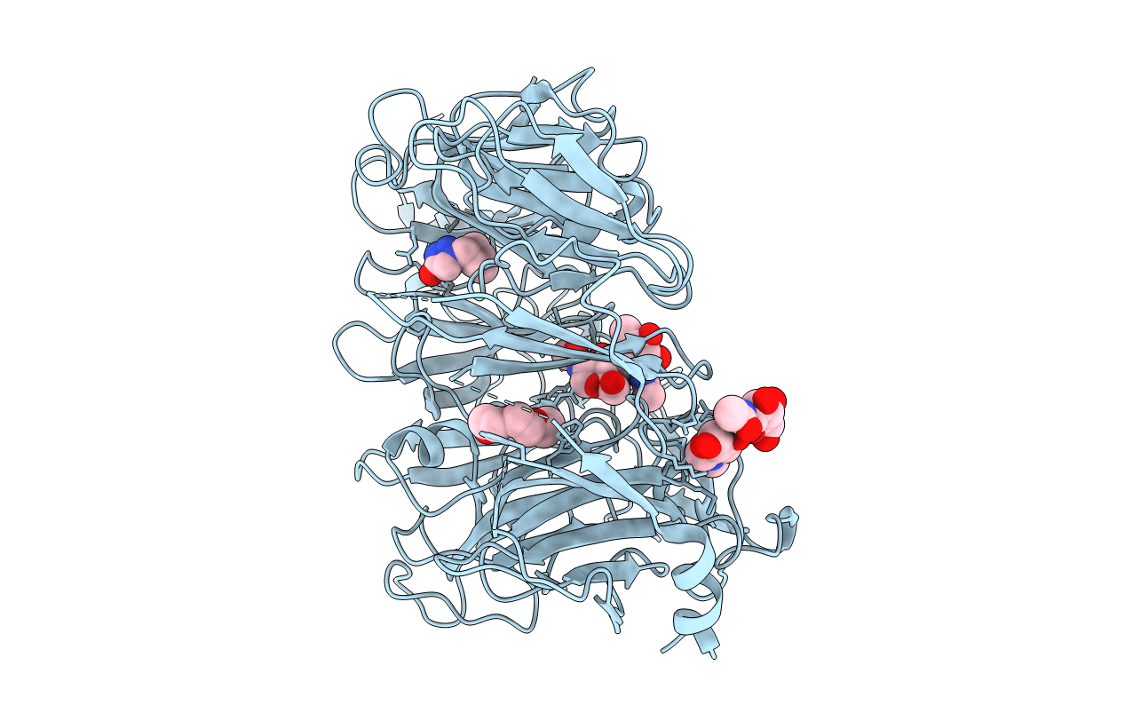 5MRH image