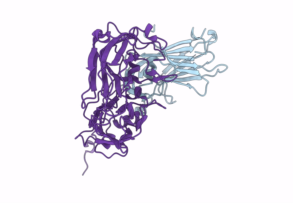 5MS1 image