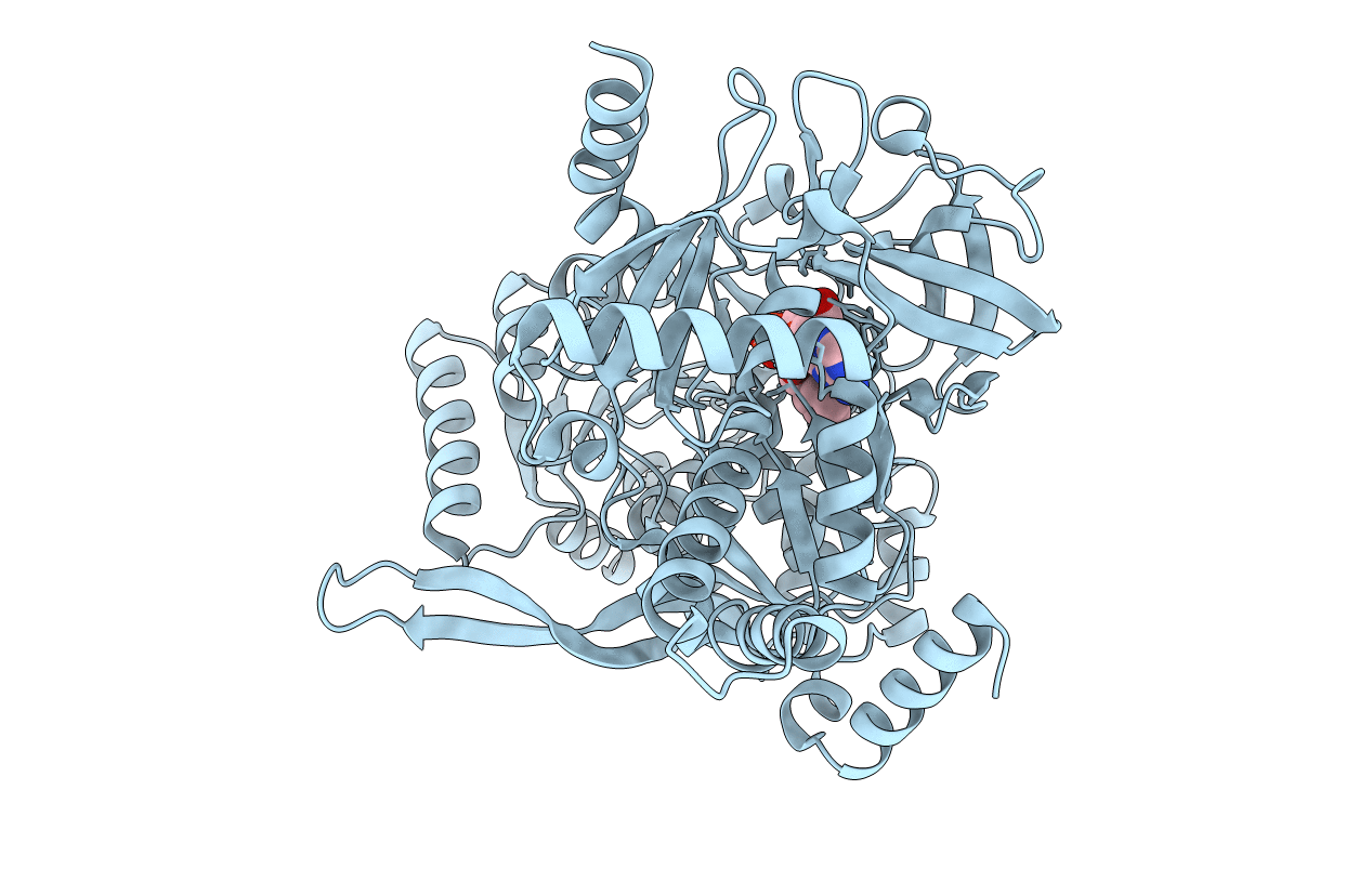 5MSD image