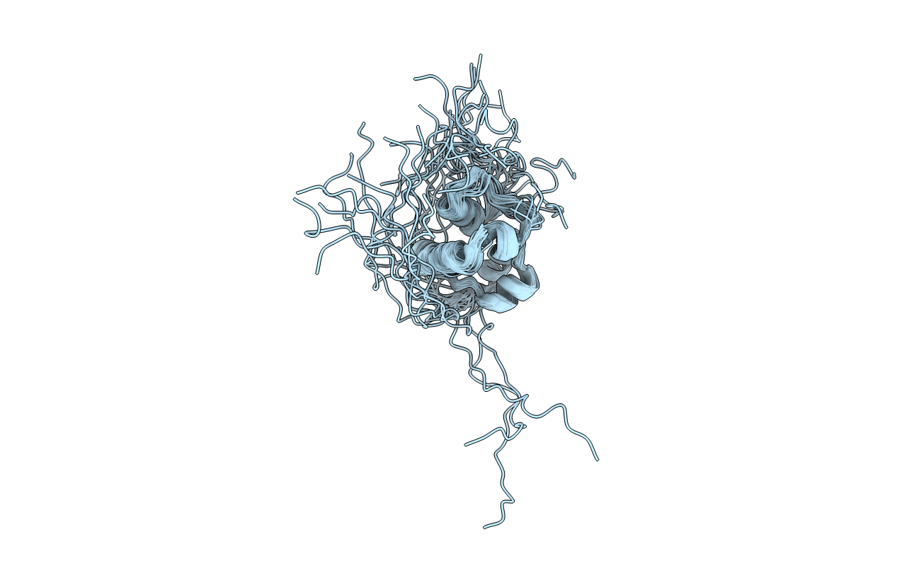 5MTI image