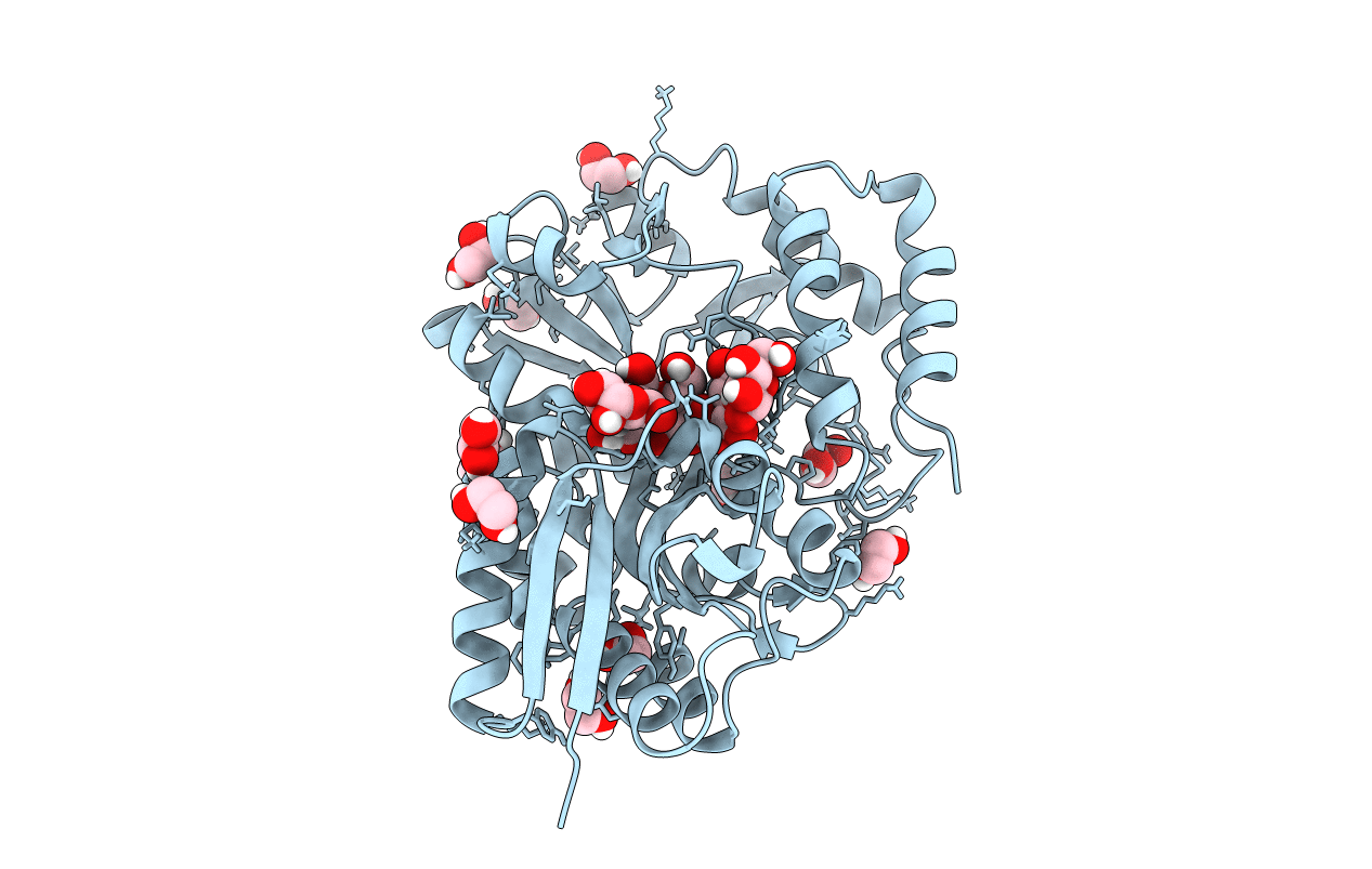 5MTT image