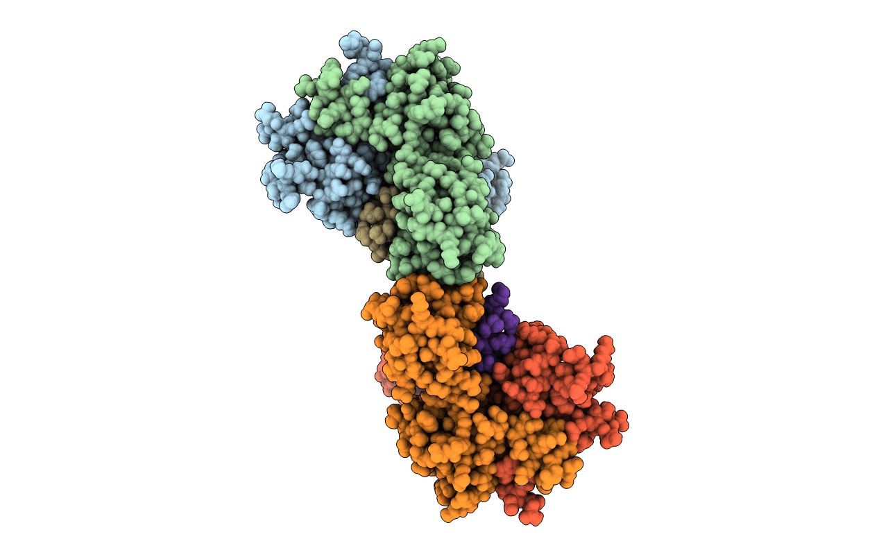 5MU3 image
