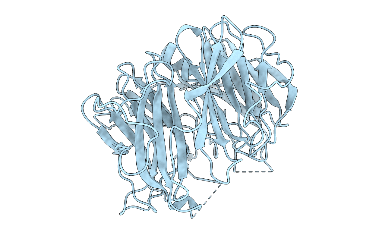 5MVH image