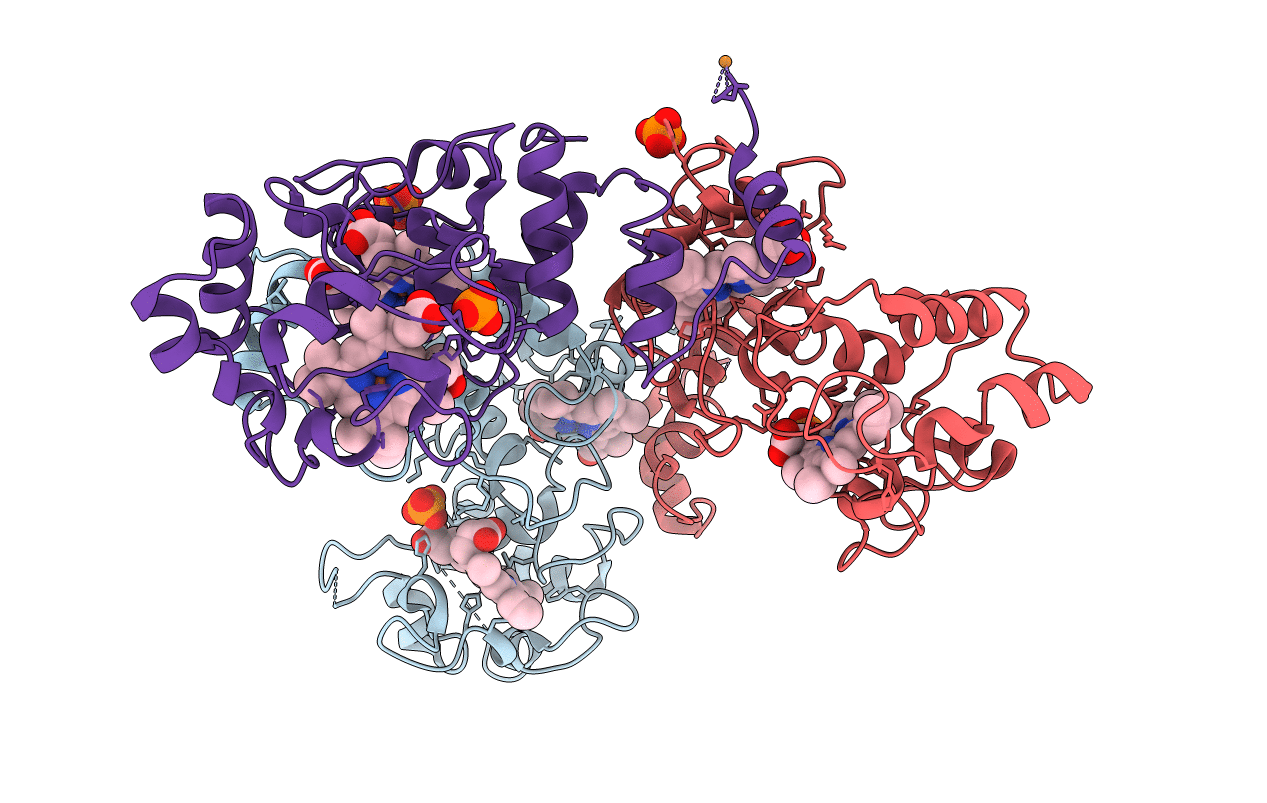 5MVO image