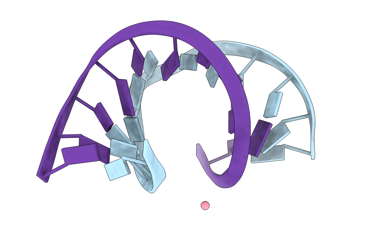 5MVT image