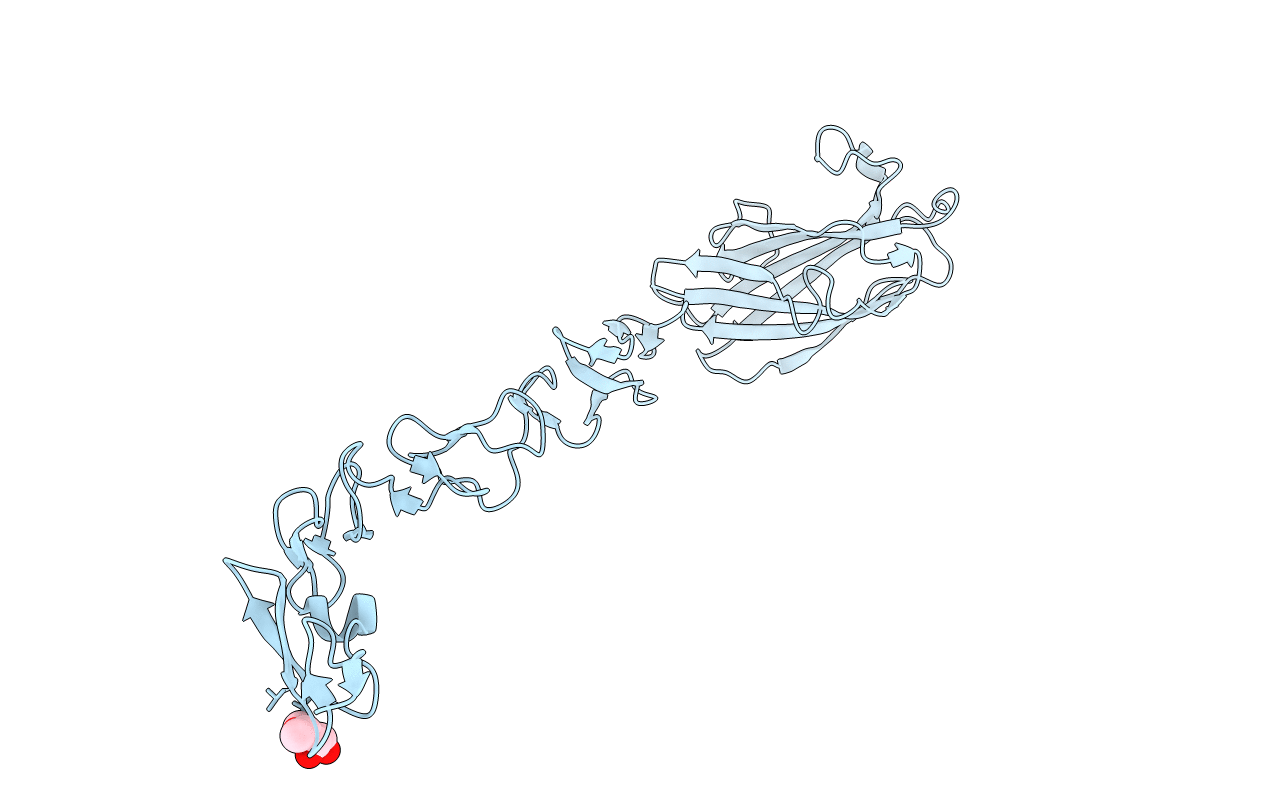 5MVX image