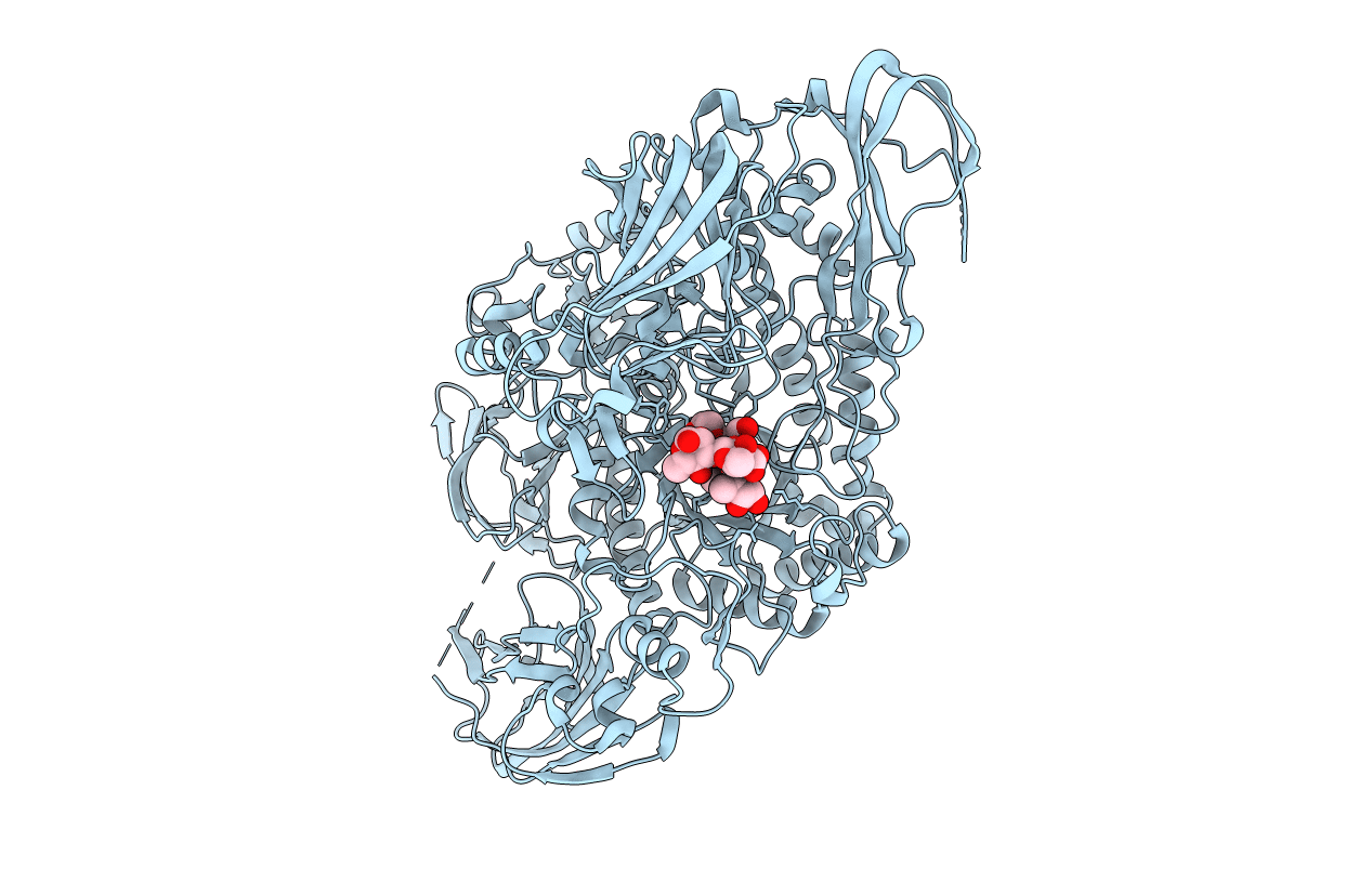 5MWK image