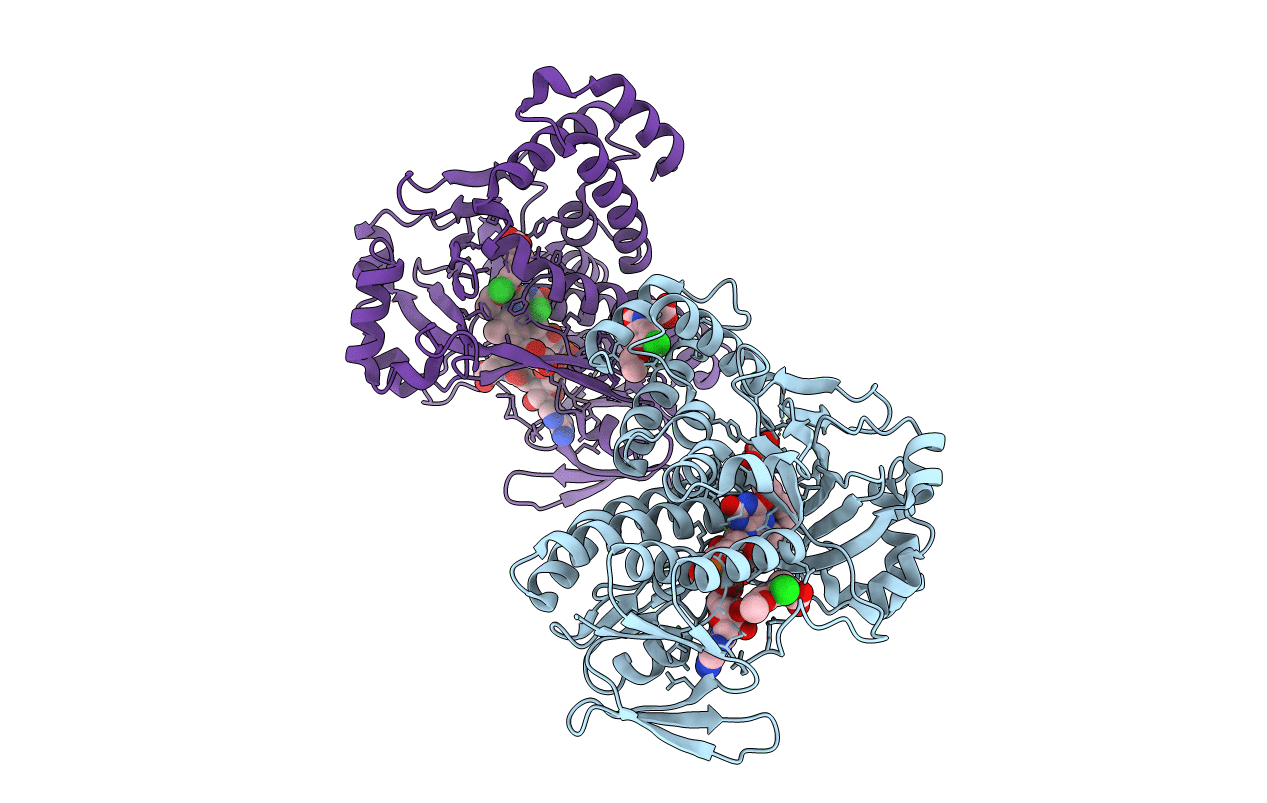 5MZC image