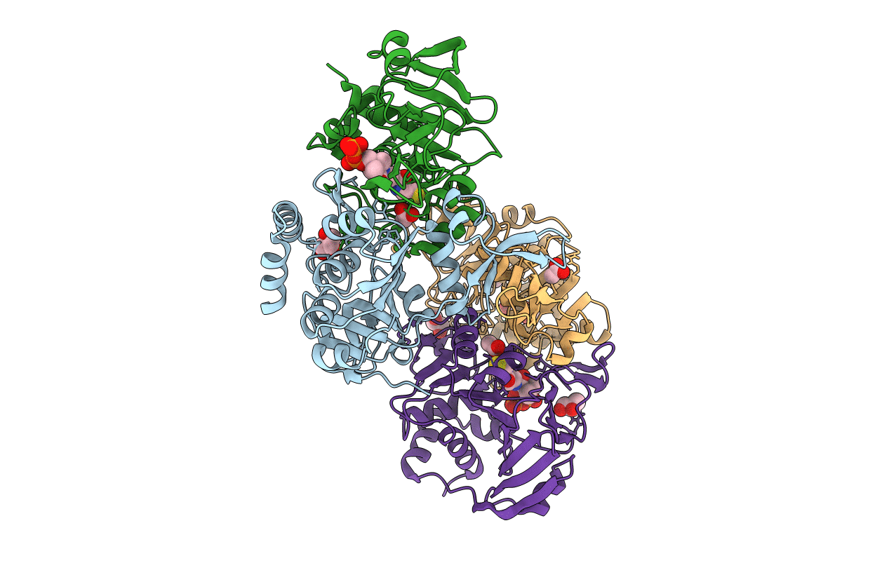 5MZX image