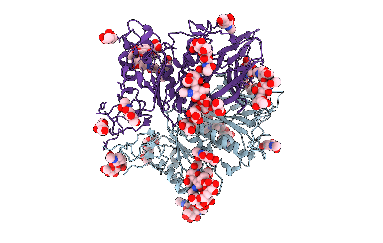 5N11 image