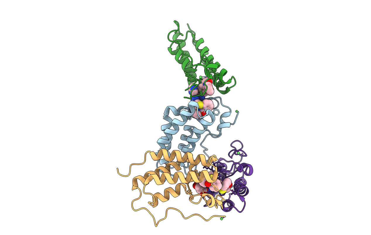 5N16 image