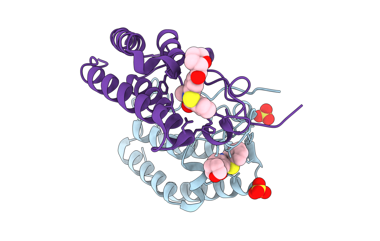 5N17 image